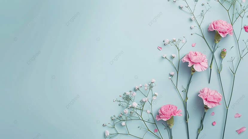 木熹花语鲜花